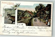 Habelschwerdt Bystrzyca Klodzka 1901 Foto AK Forsthaus Wustung Hirsch