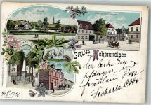 06679 O4860 Hohenmölsen 1901 Lithographie Die Aue Neumarkt Luthereiche Siegesdenkmal Post