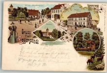 39365 O3221 Eggenstedt Lithographie Gasthaus Meier Gutspark Forsthaus Wildlichtung