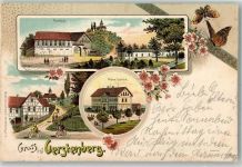 04617 O7401 Gerstenberg 1907 Lithographie Schmetterlinge Gasthaus Neue Schule Dorfstraße
