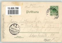 26655 W2910 Westerstede 1900 Lithographie Schloß Finkensolt Im Wittenheim Kirchenstraße Gardkrüger Rosenknospen