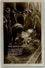 W8000 München Ohne Fleischmarken erschossenes Pferd wird geschlachtet von der armen Bevölkerung Kriegsnot 1919 Foto AK