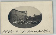 21441 W2091 Garstedt , Winsener Geest 1912 Privatfoto AK Bauernhof Bauer beim Hühnerfüttern Passepartout Ort lt. Stempel