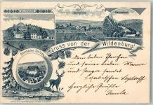 55758 W6581 Wildenburg 1899 Lithographie Vorläufer Druck um 1890 Katzenloch Allenbacher Schloß Hirsch Wildenburg Kempfeld