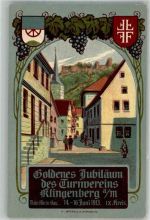 63911 W8763 Klingenberg a. Main Lithographie Goldenes Jubiläum des Turnvereins Klingenberg 1913 Wappen
