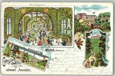 07570 O6518 Weida , Thür 1903 Lithographie Gasthaus zur schönen Aussicht Wintergarten Oschütztal-Viadukt