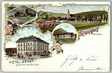 92318 W8430 Neumarkt , Oberpf 1898 Lithographie Hotel Egner Ruine Wolfstein Wilsbad