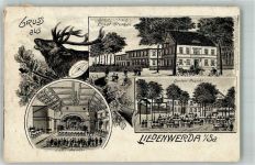 04895 O7901 Bad Liebenwerda Lithographie Hirsch Schützenhaus Gartenwirtschaft Festsaal