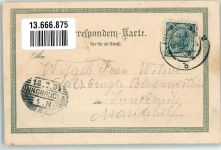 6150 Steinach am Brenner 1904 Lithographie Gasthaus zum wilden Mann Gemse