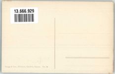 Verlag Vouga & Cie Nr. 34 Frau mit Ski ohne Stock Pellegrini, C. Künstlerkarte