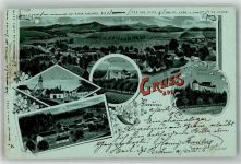 4202 Kirchschlag bei Linz Lithographie Schloss Wildberg Burg Ruine Grub Kirche Dietmannsdorf