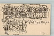 16547 O1403 Birkenwerder Lithographie Gasthaus zur Briese Gartenwirtschaft Elsen-Quelle