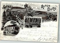 57072 W5900 Weidenau , Sieg 1898 Lithographie Gasthaus zur alten Burg Vogelhäuschen