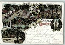 06386 O4371 Quellendorf 1899 Lithographie Gasthaus zum Töpfchen Gartenwirtschaft Fischer's Häuschen Waldweg