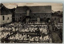 15320 O1213 Neutrebbin Gebrauchsspuren Gänsemästerei Foto AK