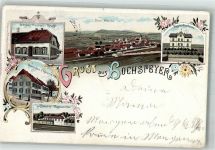67691 W6755 Hochspeyer 1900 Lithographie Forstamtsgebäude Gasthaus Kraft Gasthaus Häberle Bahnhof-Gasthaus