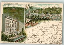 56170 W5413 Sayn 1896 Lithographie Hotel Krupp Alfredhöhe