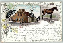 21635 W2155 Jork , Niederelbe 1901 Lithographie Hannover Vollbluthengst Gasthaus Cordes