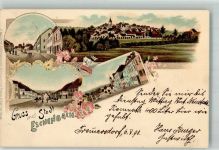 92676 W8489 Eschenbach i.d.OPf. 1898 Lithographie Dorfstrassen