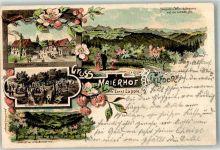 73553 W7077 Alfdorf 1901 Lithographie Gasthaus Maierhof Gartenwirtschaft