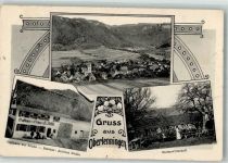 73252 W7311 Oberlenningen 1910 - Gasthaus zur Sonne Gartenwirtschaft