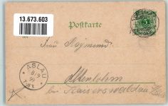 Crossen a.d. Oder Krosno Odrzanskie 1899 Lithographie Marien- Kirche Blick nach dem Silberberg