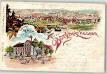 33829 W4807 Borgholzhausen 1901 Lithographie Gasthaus Meyer