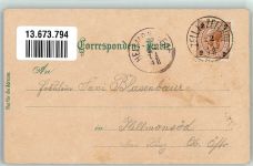 4283 Bad Zell Lithographie Schloss Zellhof Burg Ruine Trandegg