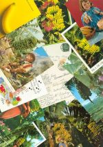 Lot mit 48 AK aus Lagerräumung Banane Posten 21 bis 100 AK