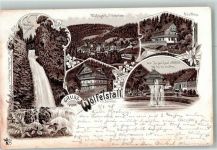 Wölfelsgrund Miedzygorze 1898 Lithographie Hotel zur guten Laune Villa Marienbad Weiss Wasserfall
