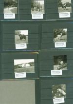 69483 W6948 Siedelsbrunn Lot mit 23 Fotos Originale aus dem Archiv eines Ansichtskartenverlages Tierpark
