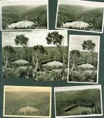 72270 W7292 Ruhestein Lot mit 50 AK Wildsee Original aus dem Archiv eines Ansichtskartenverlags alle mehrfach