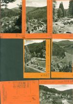 W7292 Schönmünzach Lot mit 14 AK Musterkarten Original aus Metzarchiv Bestellvorgänge und Auflagenzahlen Mönch Kleinposten bis 20