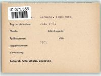 25836 W2256 Garding FOTO KEINE AK Sendeturm
