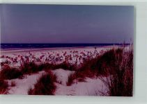 26548 W2982 Norderney FOTO KEINE AK