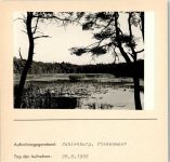 W2190 Sahlenburg Finkenmoor Seerosen Foto montiert auf Karton Seerose FOTO KEINE AK