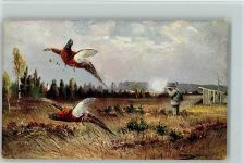 Federwild - Jagdtiere - Jäger AK Müller jun. (München)