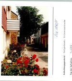 27498 W2192 Helgoland FOTO KEINE AK Friesenstraße Foto montiert auf Karton