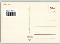 23738 W2432 Lensahn - Schwäne