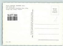 6365 Kirchberg in Tirol - Pension Widauer