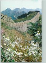 Spring Scene of the Great Wall Motiv China