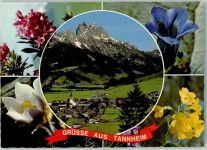 6675 Tannheim - Rotflüh Gimpel Enzian Schlüsselbluume Weigelie
