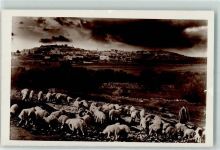 Bethlehem 1961 - Hirtenfeld AK