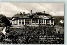 W6730 Königsbach an der Weinstraße Winzer Verein Wein