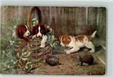 Künstlerkarte Hundewelpen AK Igel 1920 Gebrauchsspuren