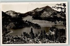 83727 W8162 Spitzingsee - Bodenschneid Brecherspitze Wald