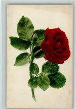 Nr. 509 Rose Blume - Farbenlichtdruck Rommel