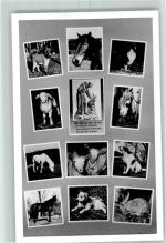 Namenslos Tierschutz FOTO KEINE AK