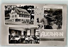 72275 W7297 Reinerzau - Gasthaus Pension Auerhahn