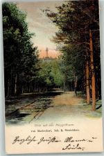 10115 O1199 Köpenick 1902 - Müggelturm
